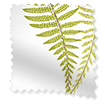 Roller Blind Angel Ferns Olive immagine del campione 