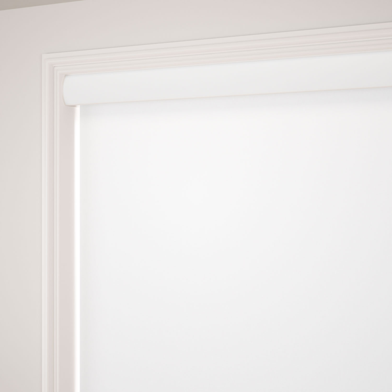 Roller Blind Antiviral Blackout Snow