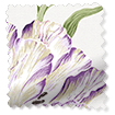 Dancing Tulip Fields Lilac Tende a rullo Immagine campione