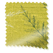 Tenda a bastone Moonlit Fern Faux Silk Citrus immagine del campione 